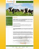 Strona www Foodexo strona-www-foodexo